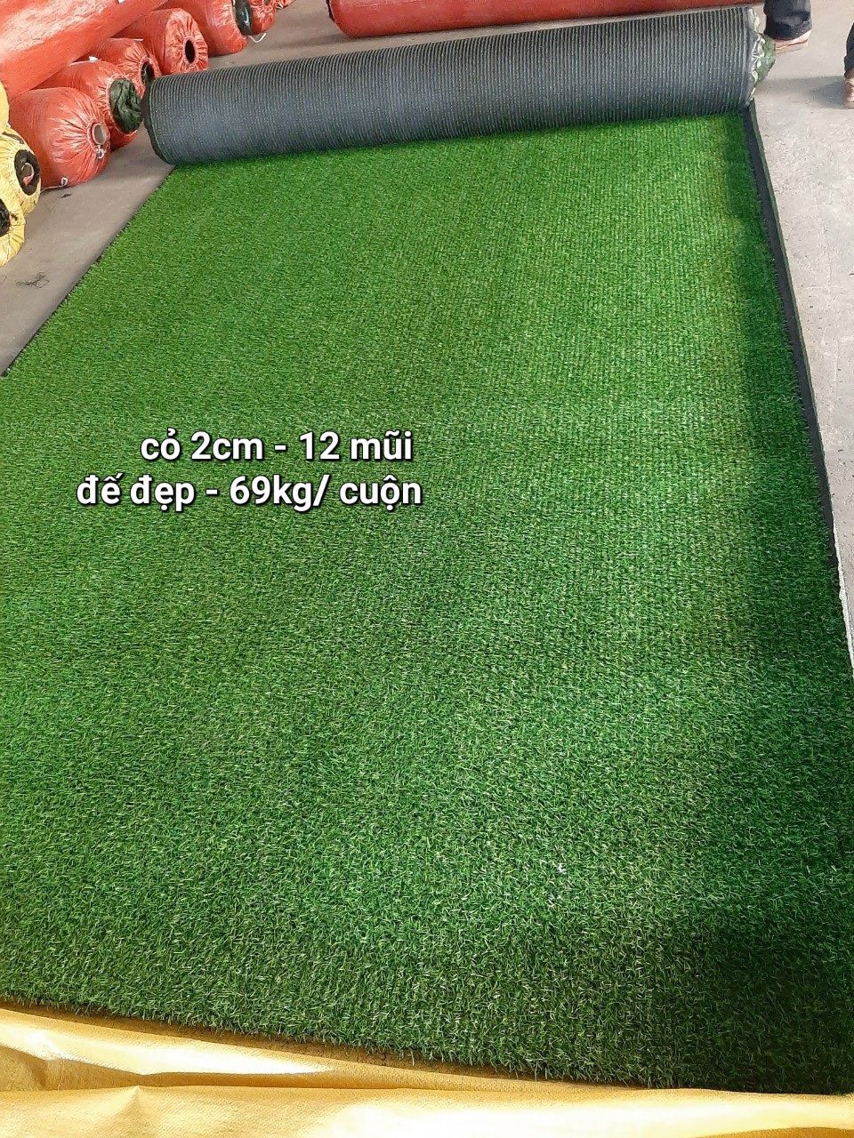 Thảm cỏ nhân tạo 2cm mua ở đâu giá tốt 